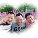 샬롬 이미지
