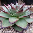 원종농장 이미지