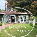 테오플라워카페 | W-20. 테오그라피 서울 - 토탈 촬영 가능 스튜디오(솔직후기와 꿀팁)