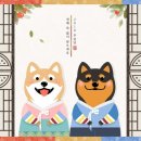 드림 P&T 이미지