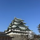 어전 | 도심 속 일본 성 여행｜나고야성 &amp; 혼마루어전 상세 후기