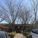 홍시 | 경주 가족여행 한정식 홍시 후기