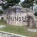 거창읍-25 | 감악산 아스타국화 보고 볼만한 곳 거창 창포원 포토존이 가득해요 경남 당일치기 여행