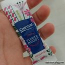 대발농장 | [꽃배달서비스] 출혈이 큰 가정의 달 😂 합리적인 가격의 예쁜 꽃 추천! ㅣ 농장 직배송 어니스트플라워