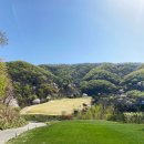 노스팜 컨트리클럽 이미지