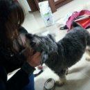 조이동물병원 이미지