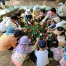 이루숲어린이집 이미지