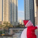 일비태권도장 이미지