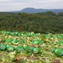 하늘농원 옆 이미지