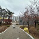 하쿠나마타타헤어 이미지