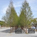 호반오토캠핑장 이미지