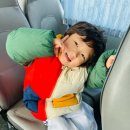 리틀MBA태권도장 이미지