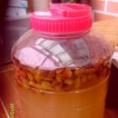 보물단지 이미지