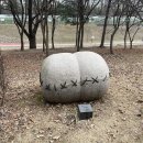 구갈레스피아 이미지