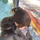 쇠똥구리 | [26.1월 일상🥶]