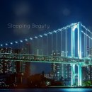 주식회사 늘 이미지