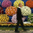 월드베스트_ 세계의 꽃 축제 이미지