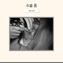 도하동물병원 이미지