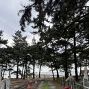 애봉이네 이미지