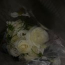 (웨딩) 대구 웨딩촬영 웨딩부케 꽃집 플루아 내돈내산 찐 후기💐
