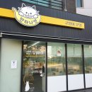 고양이분양 반하나캣 이미지