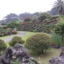 서귀포KAL호텔 이미지