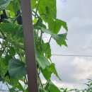 장어만찬 - 양산시 물금읍 | 장어만찬