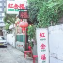 홍금복 이미지