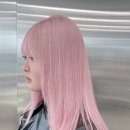 미용사(초급) 이미지