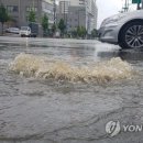 유림초교 이미지