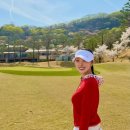 예인투어