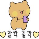 뽀미하우스