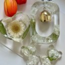 공방스테이 | [창원/오동동] 마산 부케말리기 공방 “플로스테이 스튜디오” 부케 레진 선물 후기