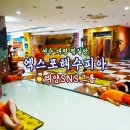 엑스포 해수피아 이미지