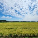 허수아비 이미지