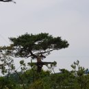 조아 주식회사 이미지