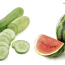 컴포트 짐 이미지