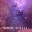 남해 노대도 투어~ (SM다이빙 남해 1박 2일투어 인천송도 스쿠버다이빙) 이미지