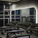 헬스더맥스