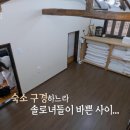 포천 민박 이미지