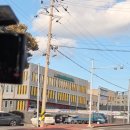 놀라움마트 | 제주 하나로마트 장보기 후기 — 고등어회는 없었지만 도미회와 한라산 덕분에 행복했던 저녁