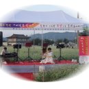 메밀꽃일다 이미지