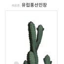 유럽풍십자수 이미지