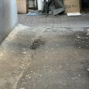 천호 카공 카페 추천 티에드 내돈내산 후기 tiede
