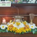 365강서수요양병원 이미지