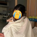 임신 9주차 계류유산/소파술 (소파술 후기.과정.통증.라헬 여성의원.난소나이. 만 29세. amh 1.36...