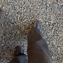 이모네잔치국수 | 울산 북구 매곡 맛집 이모네 포장마차 마우나리조트 근처 잔치국수