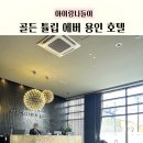 GS25장항랜드점 | 에버랜드 근처 숙소 추천｜골든튤립 에버용인호텔 온돌룸 내돈내산 후기