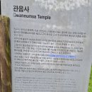 관음사 목조관음보살좌상 | 제주도 한라산대표사찰 관음사