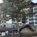 지에스25이태원힐점 | 강원도 평창 여행 숙소 추천 모나용평 베르데힐 콘도 C동 38타입 후기